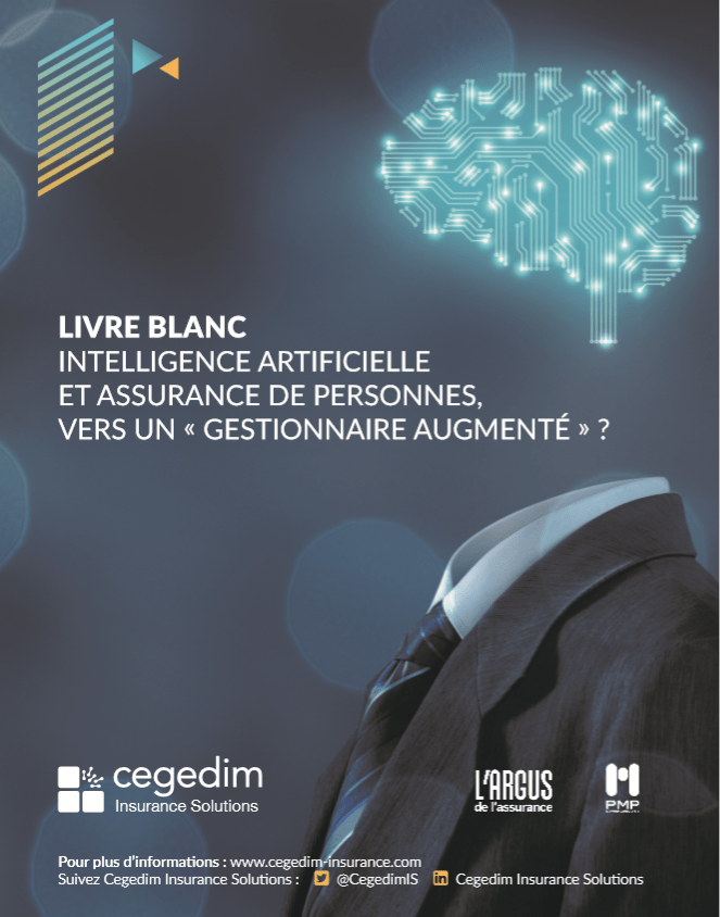 livre blanc